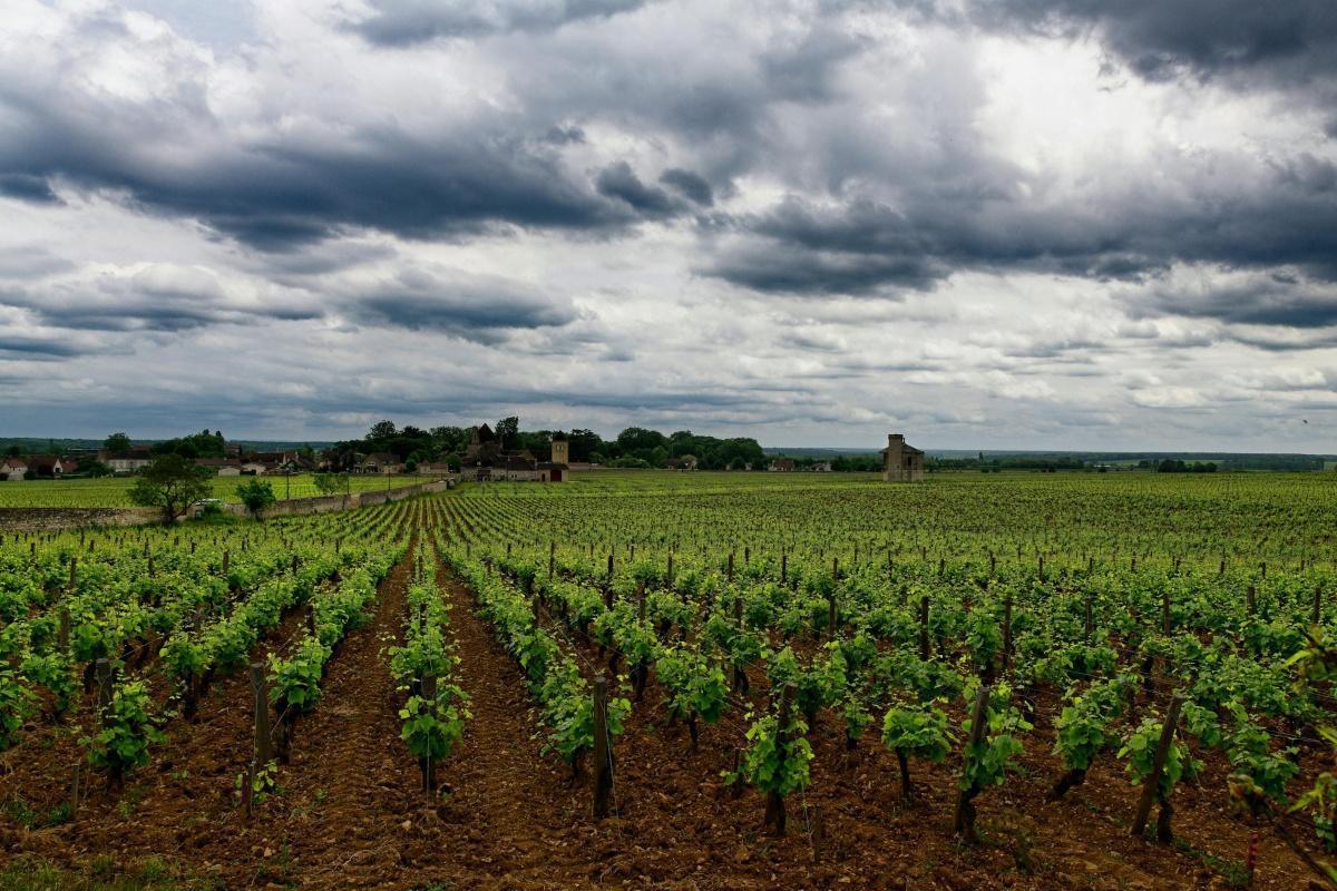 Champagne Gaillard-Peers