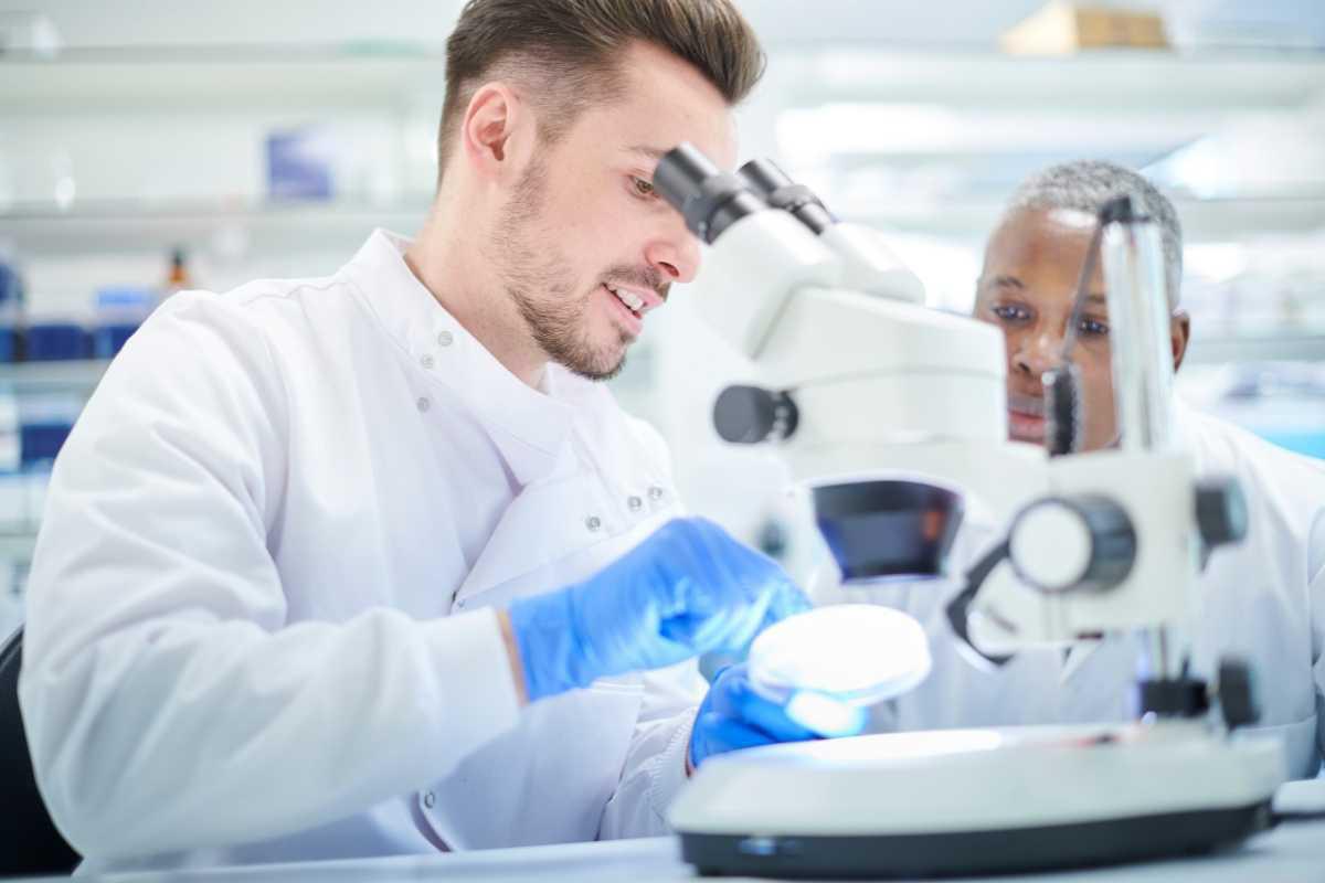 Articolo | 04 Articolo | 04