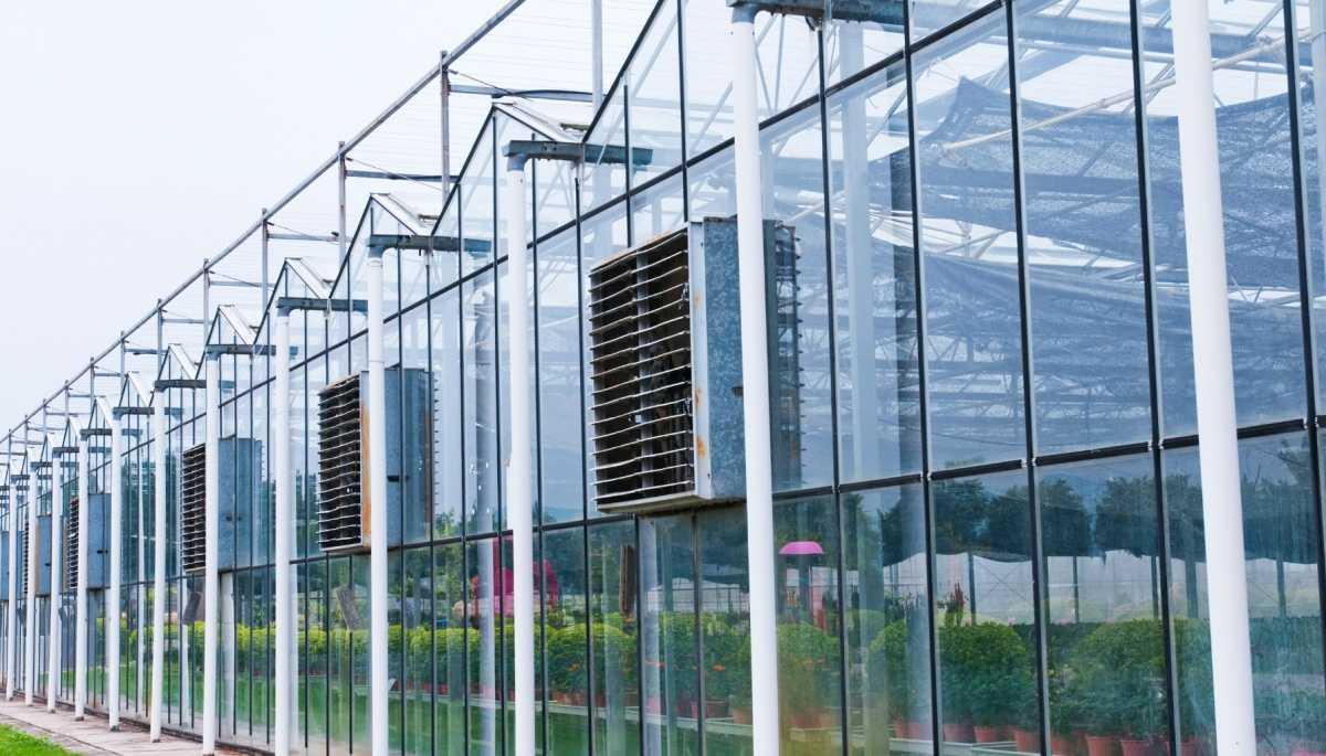 Serra agricola in vendita – Assisi (PG) Serra agricola in vendita – Assisi (PG)