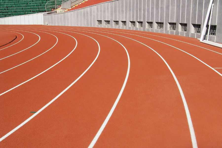 Articolo | 08 Articolo | 08