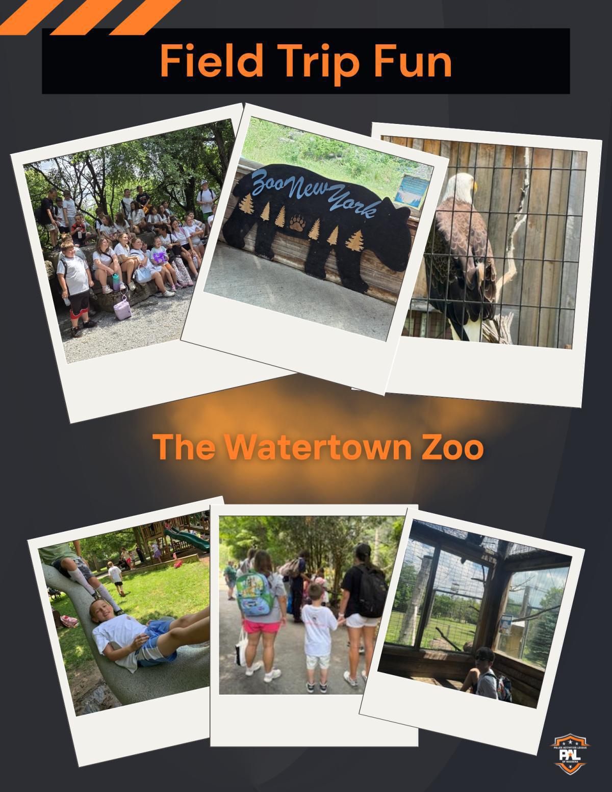 PAL Mid-Summer Program Newsletter