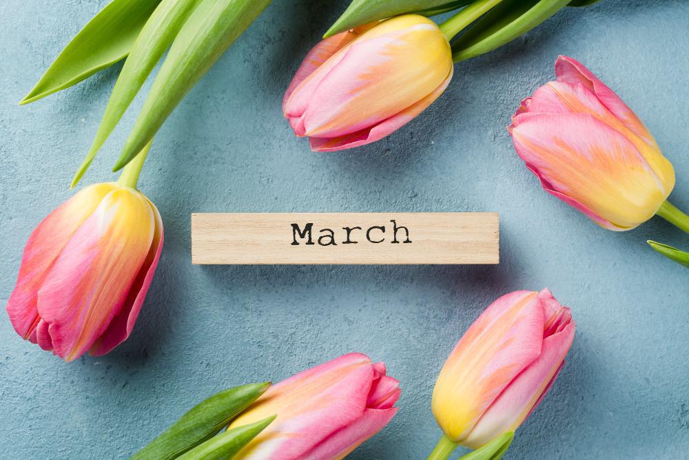 Manifest March