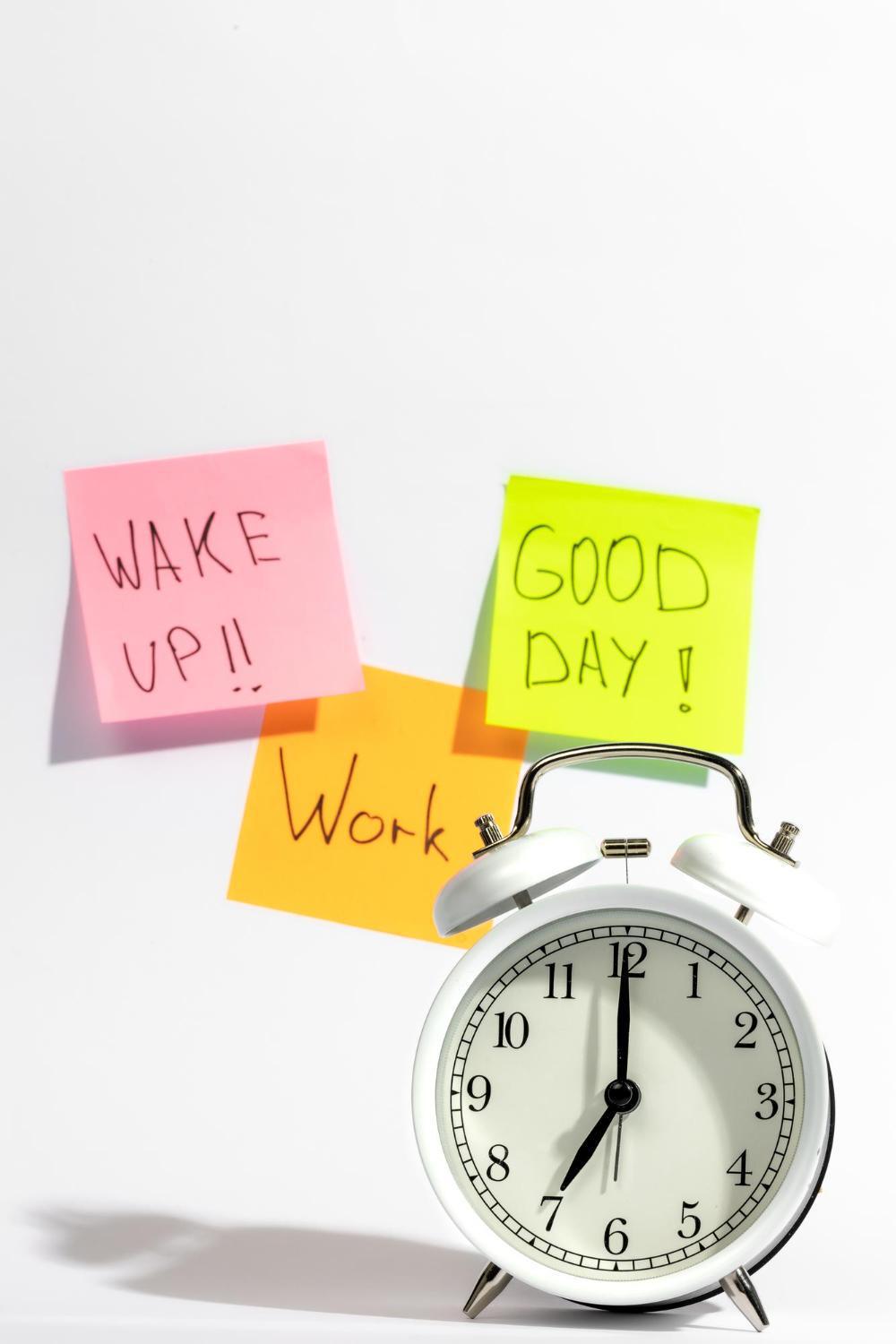 A Day in the Life of…