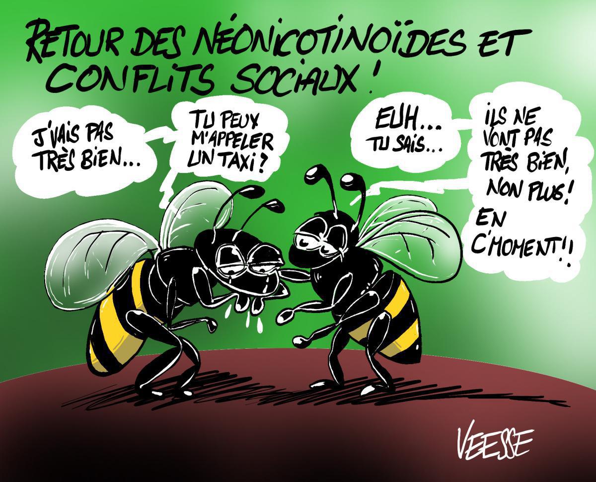 🤪Humour de la semaine : S22