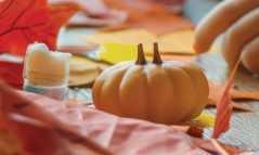 Mini - Mercredi "Apprends à dessiner la Faune et la Flore d'automne"