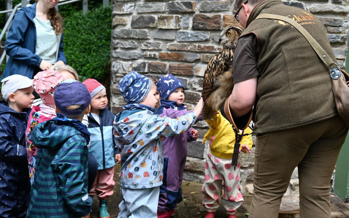 Greifvögel ganz nah: Die „Erzkäuze“ zu Besuch in der Kita Eichhörnchen in Geyersdorf