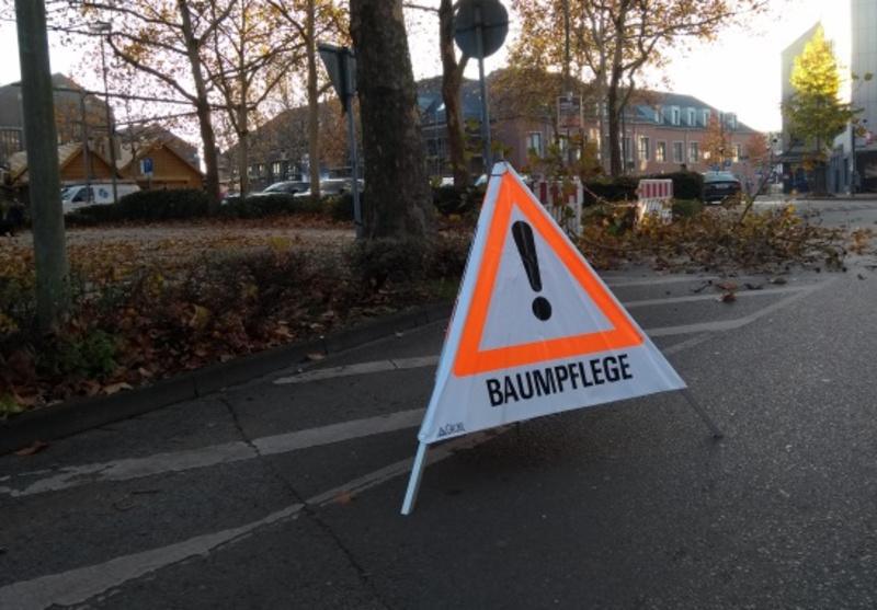 Kurzzeitige Vollsperrungen in der Feldgasse aufgrund von Baumpflegearbeiten 