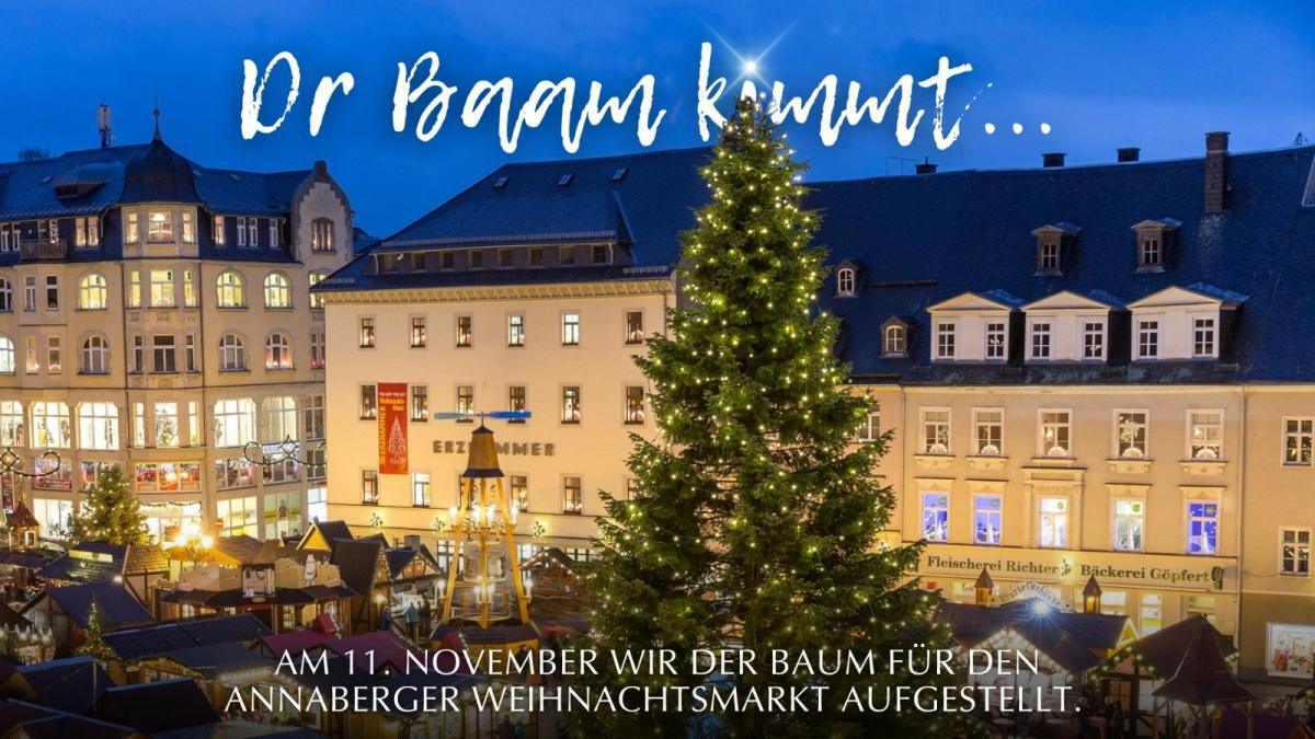  *„Dor Baam kimmt…“* 