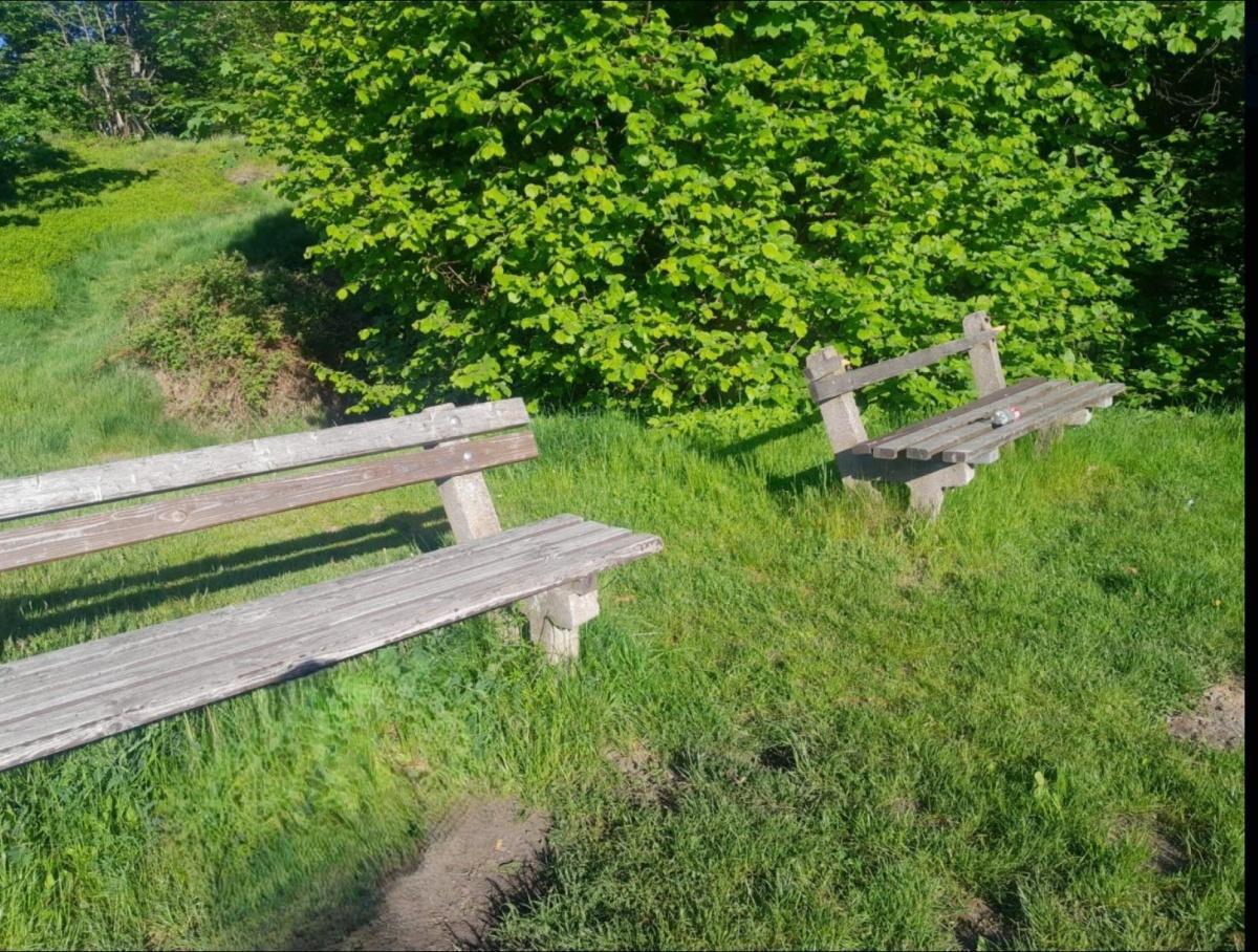 Sachbeschädigung an der Teufelskanzel – Stadt bittet um Hinweise aus der Bevölkerung Sachbeschädigung an der Teufelskanzel – Stadt bittet um Hinweise aus der Bevölkerung