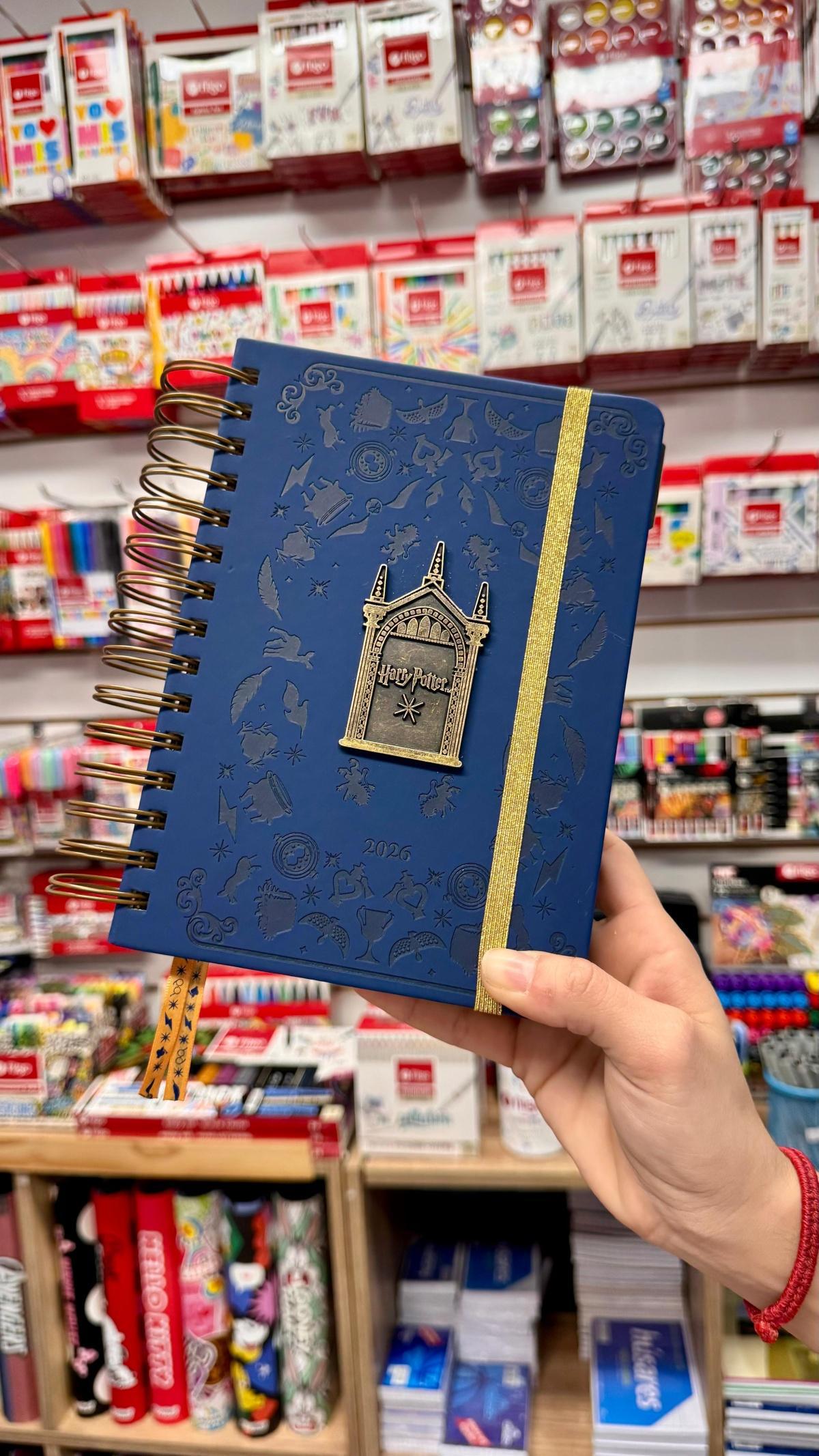 Cómo elegir la agenda perfecta para tu año ideal: ¿Sos team minimalista, colorido o fan de personajes?