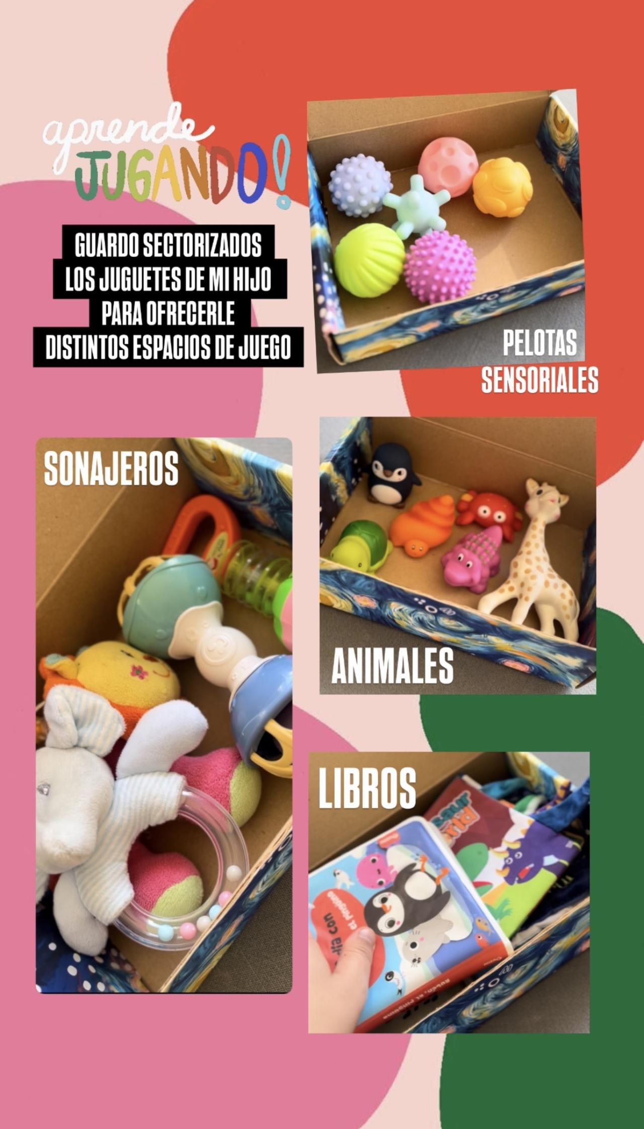 Florencia Apreda Brun