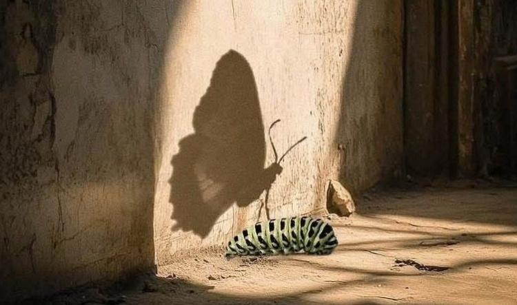 Encuentro 5: La linea de partida