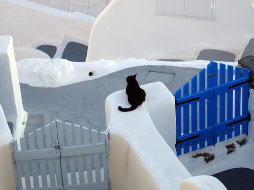 Giornata Mondiale del Gatto: miti e leggende dalla Grecia Giornata Mondiale del Gatto: miti e leggende dalla Grecia