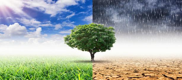 Réaliser les engagements de Paris en matière de changement climatique