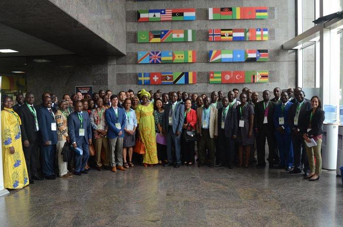 Des experts forestiers africains préparent un forum annuel pour mobiliser des fonds destinés à lutter contre les changements climatiques