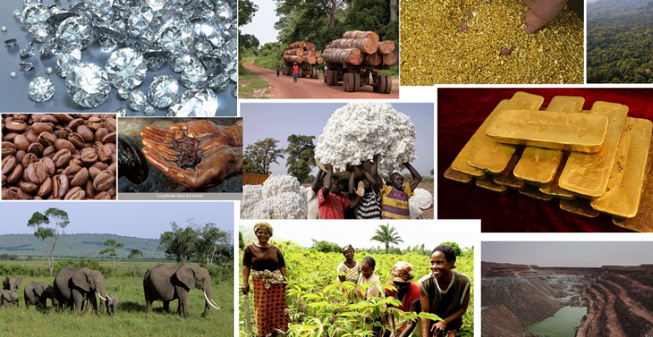 Economie centrafricaine