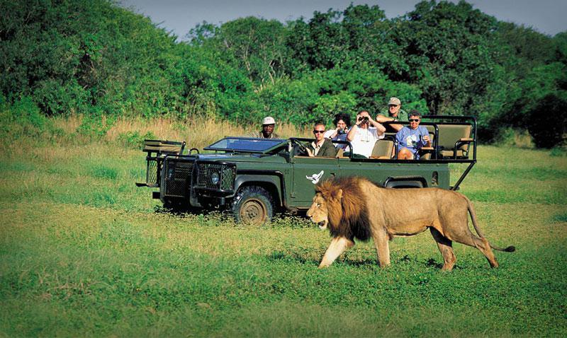 Tourisme Afrique