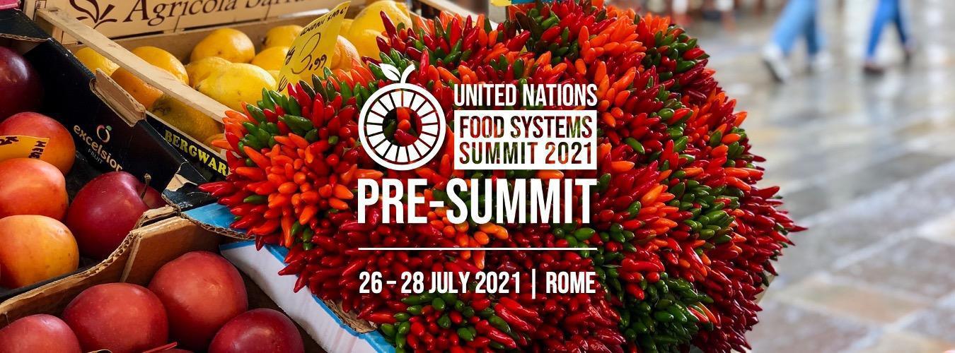 Pré-sommet sur le système alimentaire.
