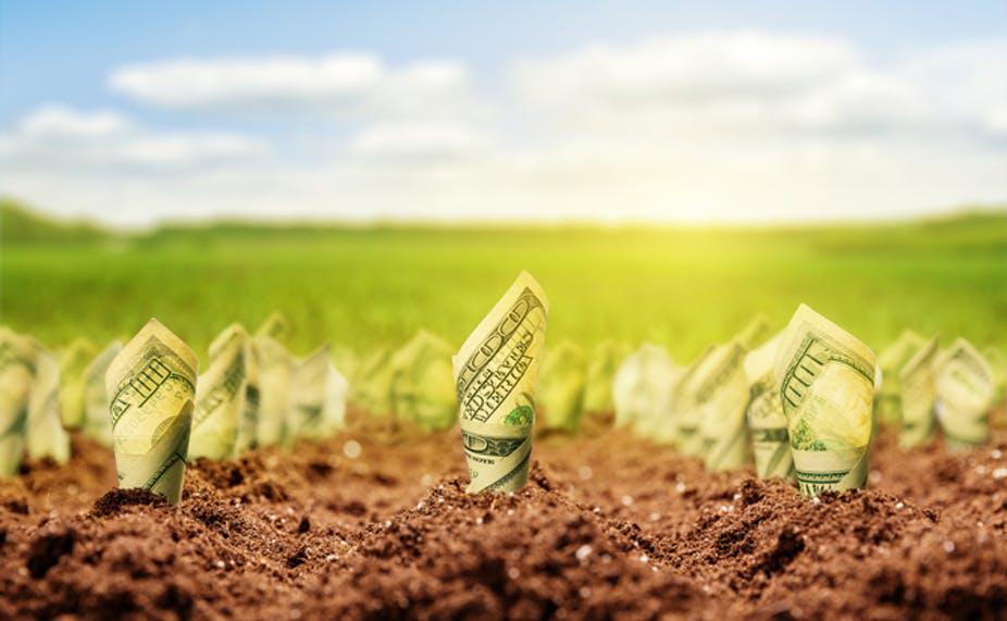 L'intégration du capital naturel dans le financement du développement en Afrique.