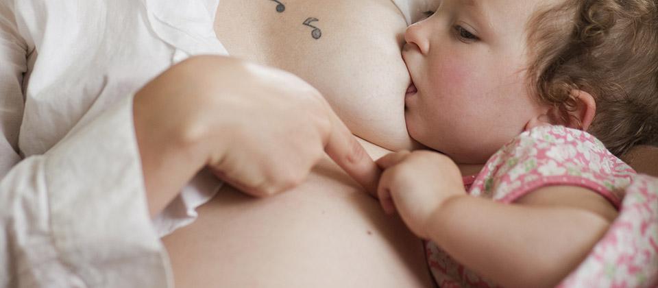 Allaiter pendant la grossesse.