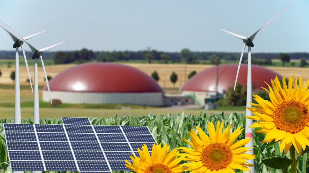 l'appel de l'afrique en faveur d'une transition énergétique juste et inclusive trouve une réponse