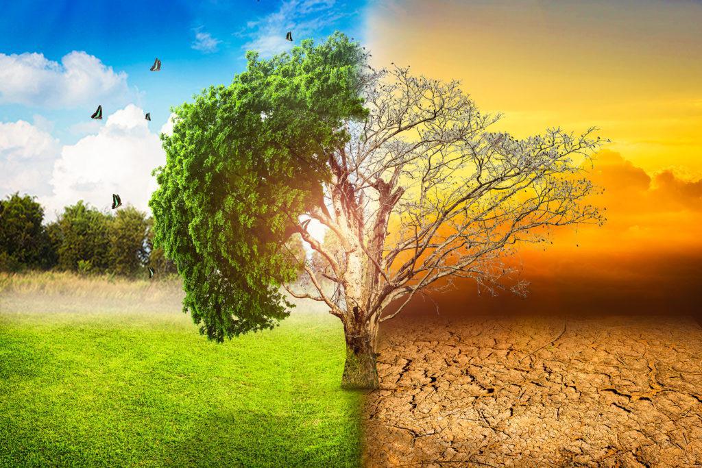 le rapport du groupe d'experts intergouvernemental sur l'évolution du climat souligne une aggravation des impacts climatiques.