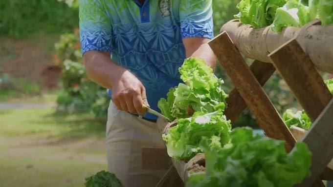 l’application pour smartphone qui aide les fidjiens à acquérir de saines habitudes alimentaires