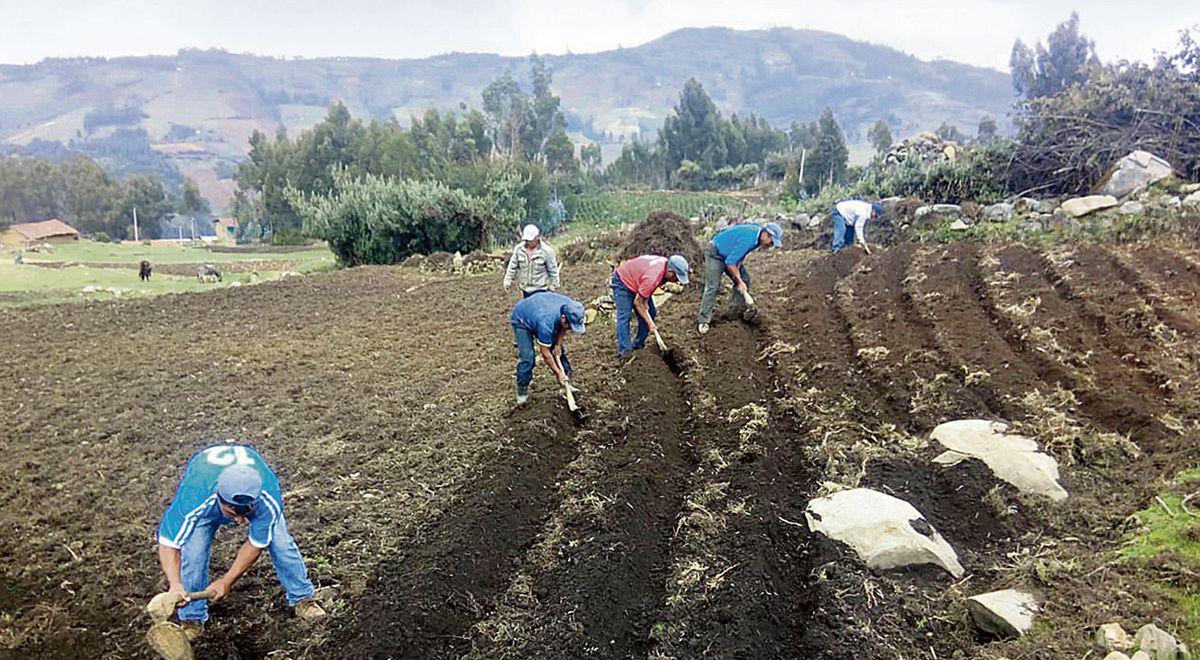 crises alimentaires, pour une réponse efficace et solidaire aux conséquences de la guerre en Ukraine