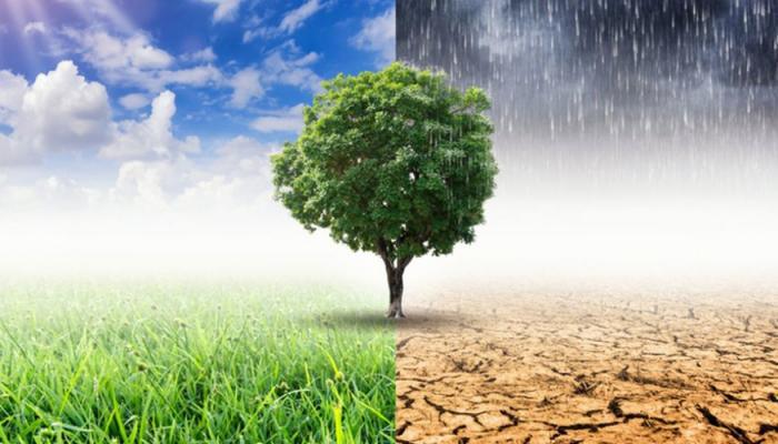 le forum économique mondial va accélérer l’action climatique multipartite à la cop28