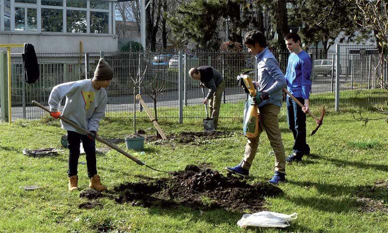 Opération de plantation d'arbres pour la protection de l'environnement. 