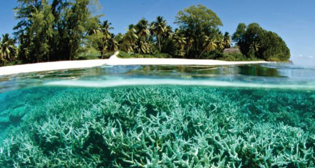 Les petits États insulaires et autres pays vulnérables peinent à accéder aux milliards nécessaires à l'adaptation climatique.