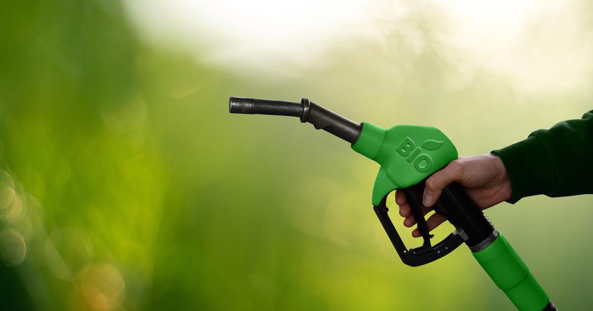 Le Sénégal lance une stratégie nationale des combustibles de cuisson propre et des biocarburants pour la période 2025-2035. 