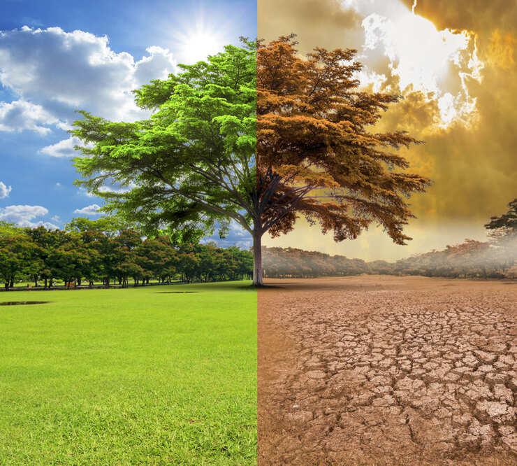 B Lab Africa s'apprête à accueillir son 4e Sommet annuel B Lab Africa, qui se déroulera les 2 et 3 octobre 2025 dans la ville d'Ekurhuleni, en Afrique du Sud.