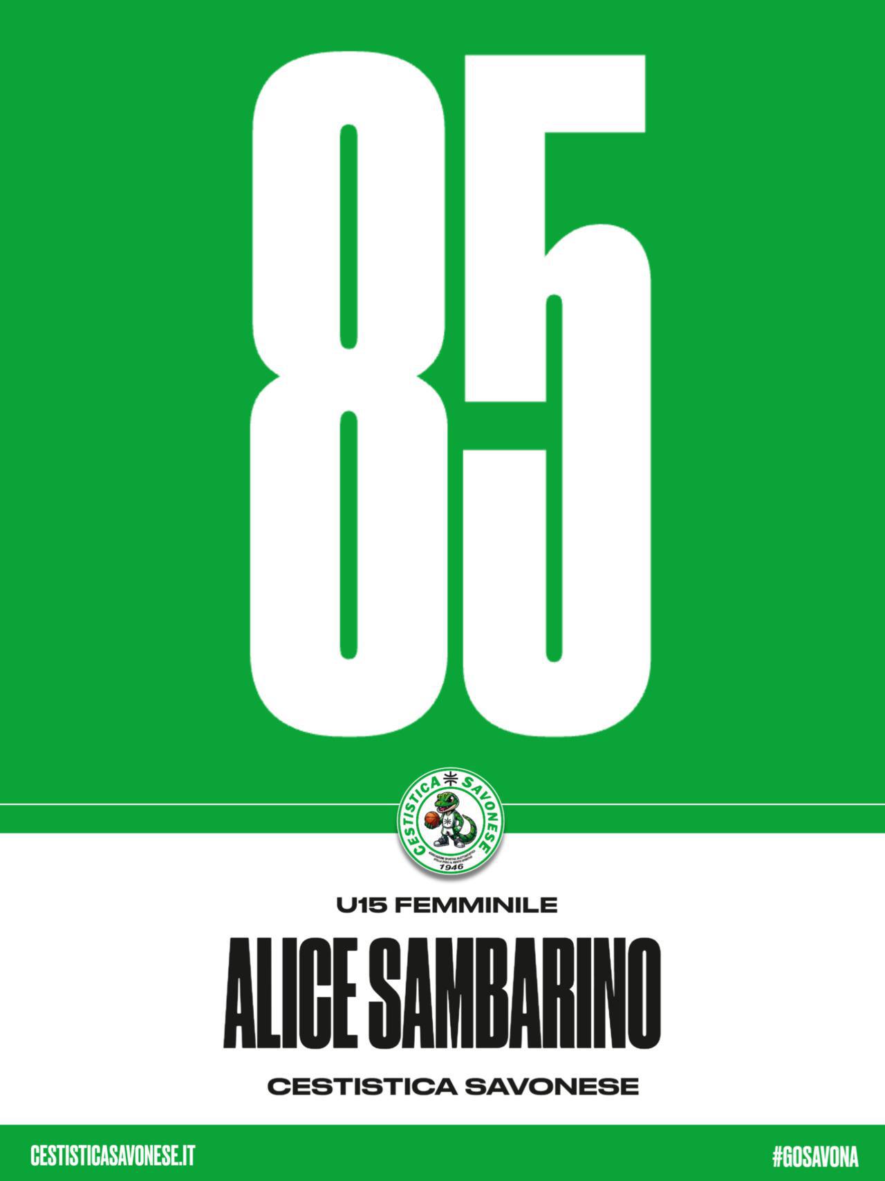SAMBARINO #85