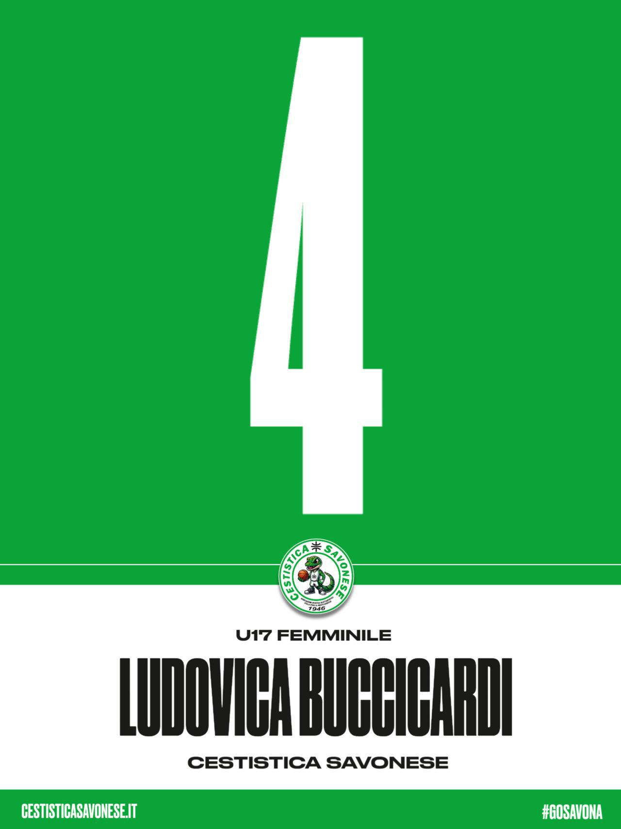 BUCCICARDI #4