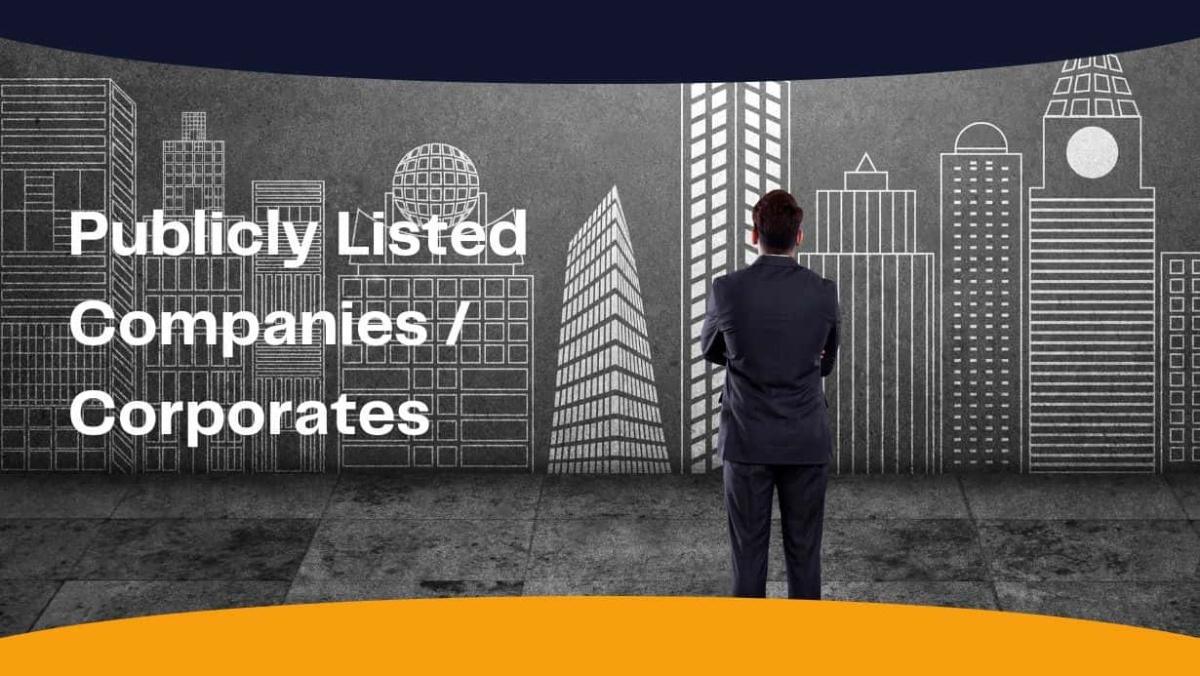 Valuation Services for Publicly Listed Companies or Corporates