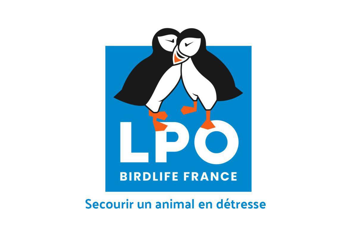 LPO comment secourir un animal sauvage en détresse