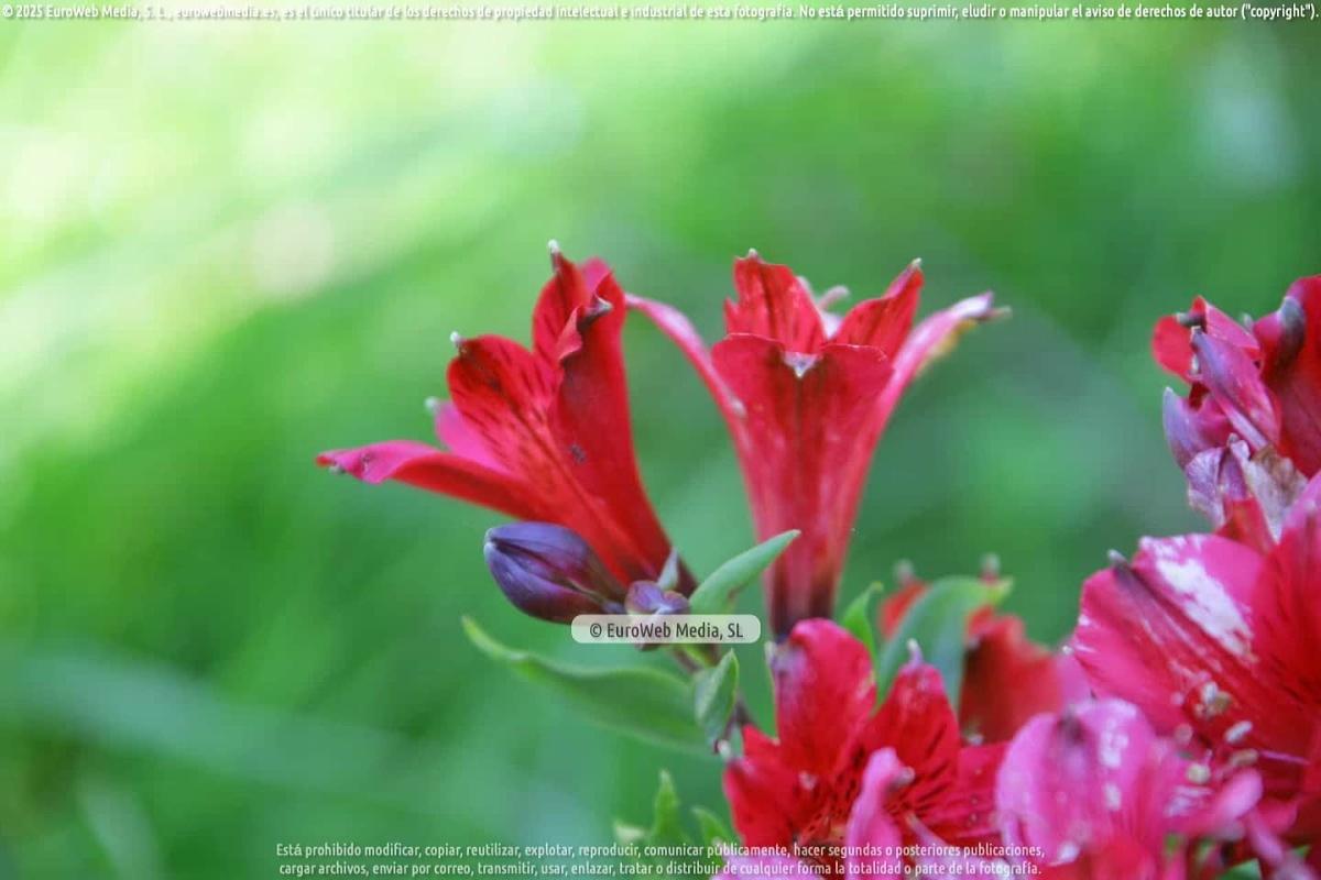 Naturaleza