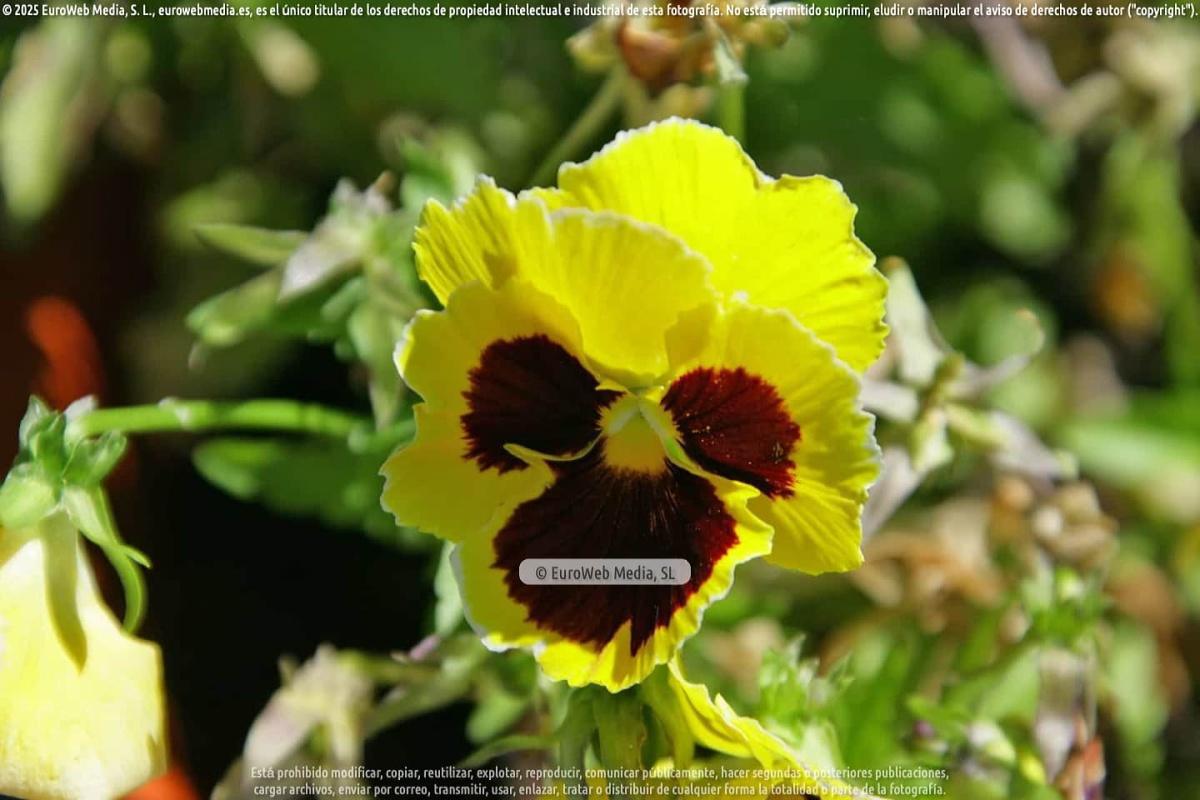 Naturaleza