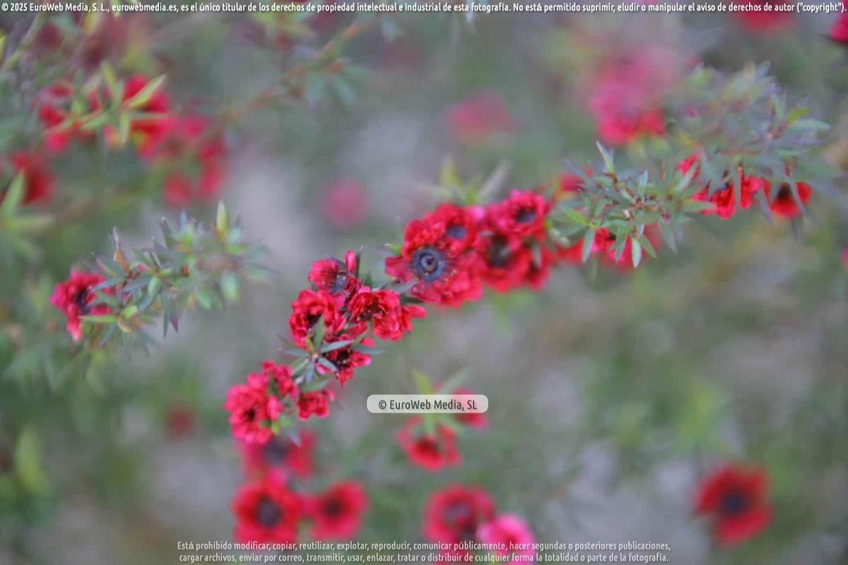 Naturaleza