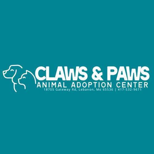 Pet of the Week -Claws & Paws- And Your Daily Briefing 