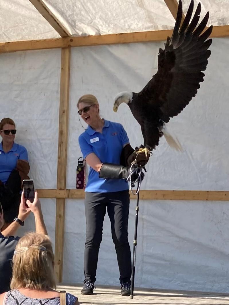 DICKERSON PARK ZOO MOURNS DEATH OF ICONIC BALD EAGLE, PHOENIX