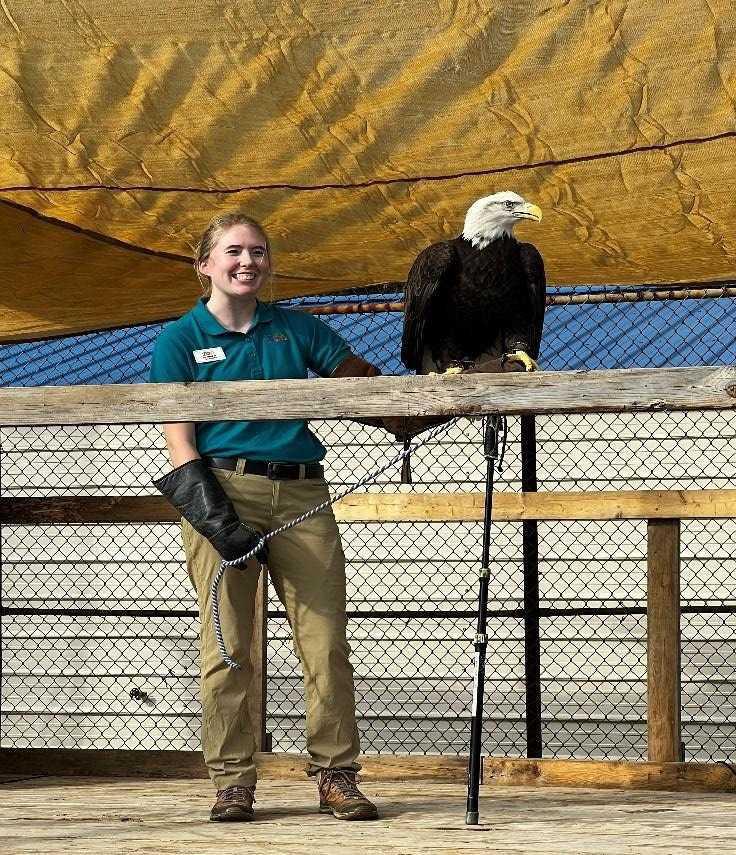 DICKERSON PARK ZOO MOURNS DEATH OF ICONIC BALD EAGLE, PHOENIX