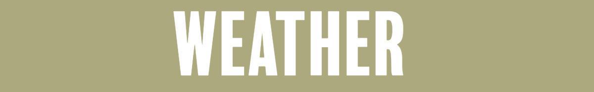 It's Tuesday, January 13 and Here is Your Daily Briefing. We Have Your City Council Recap, Local Weather & Events!