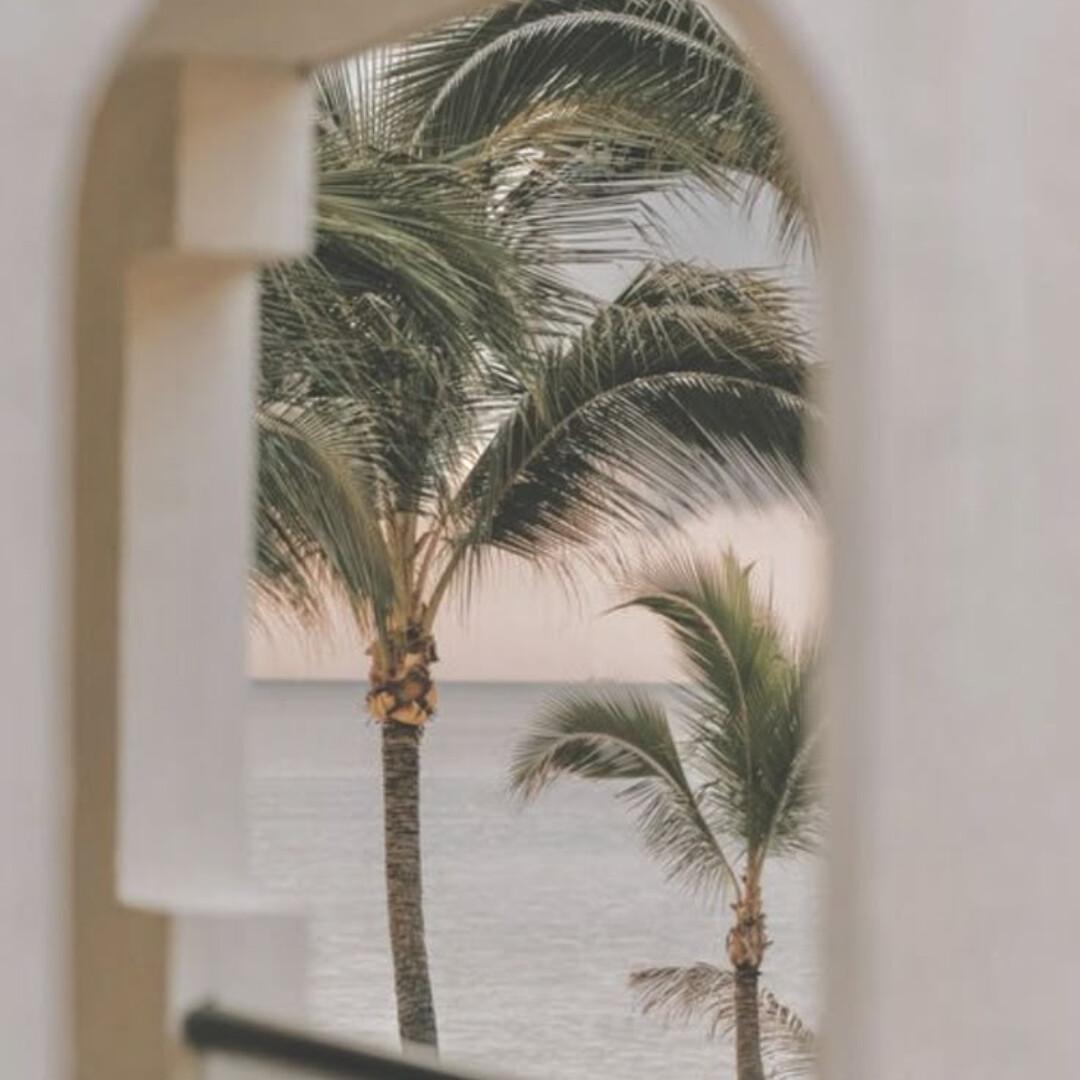 When You’re Craving the Full Picture When You’re Craving the Full Picture