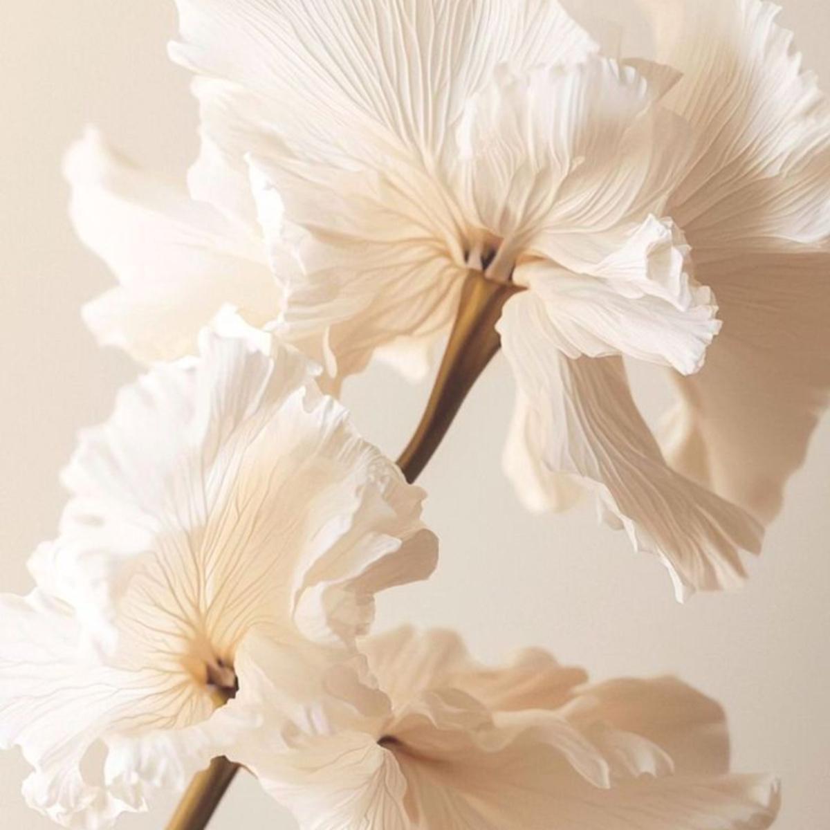 Urgency Is Not the Same as Importance