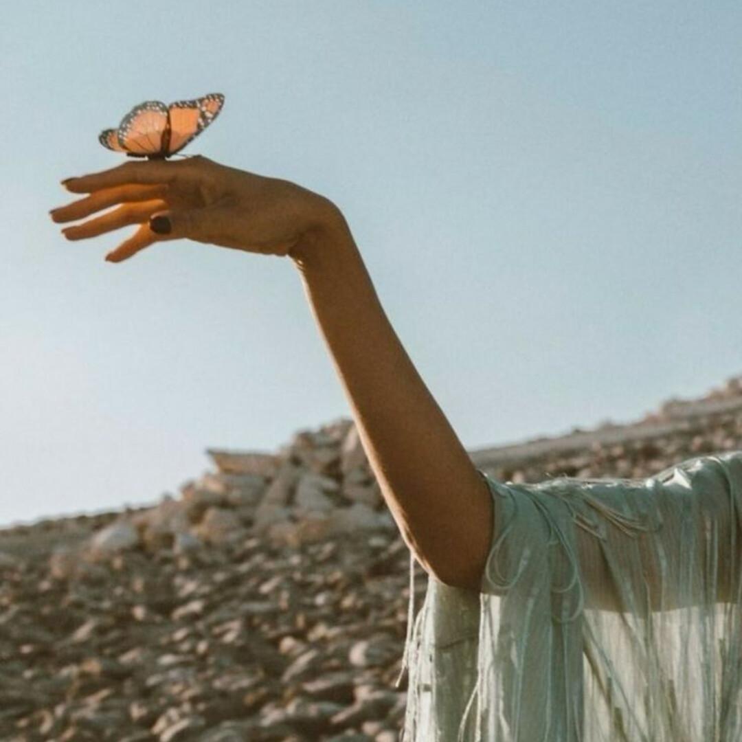 Your Standard Sets the Tone Your Standard Sets the Tone