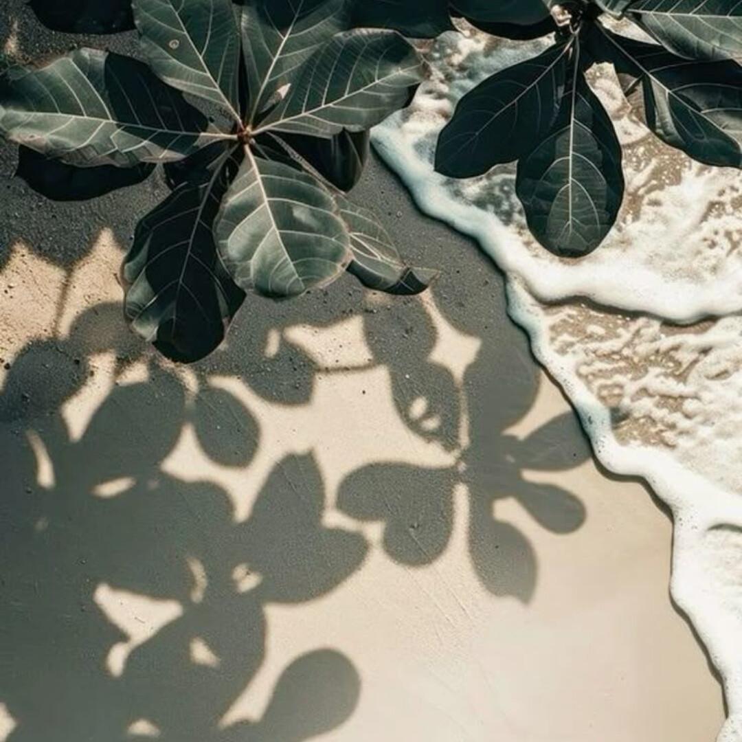 Mental Clarity for the Emotionally Exhausted