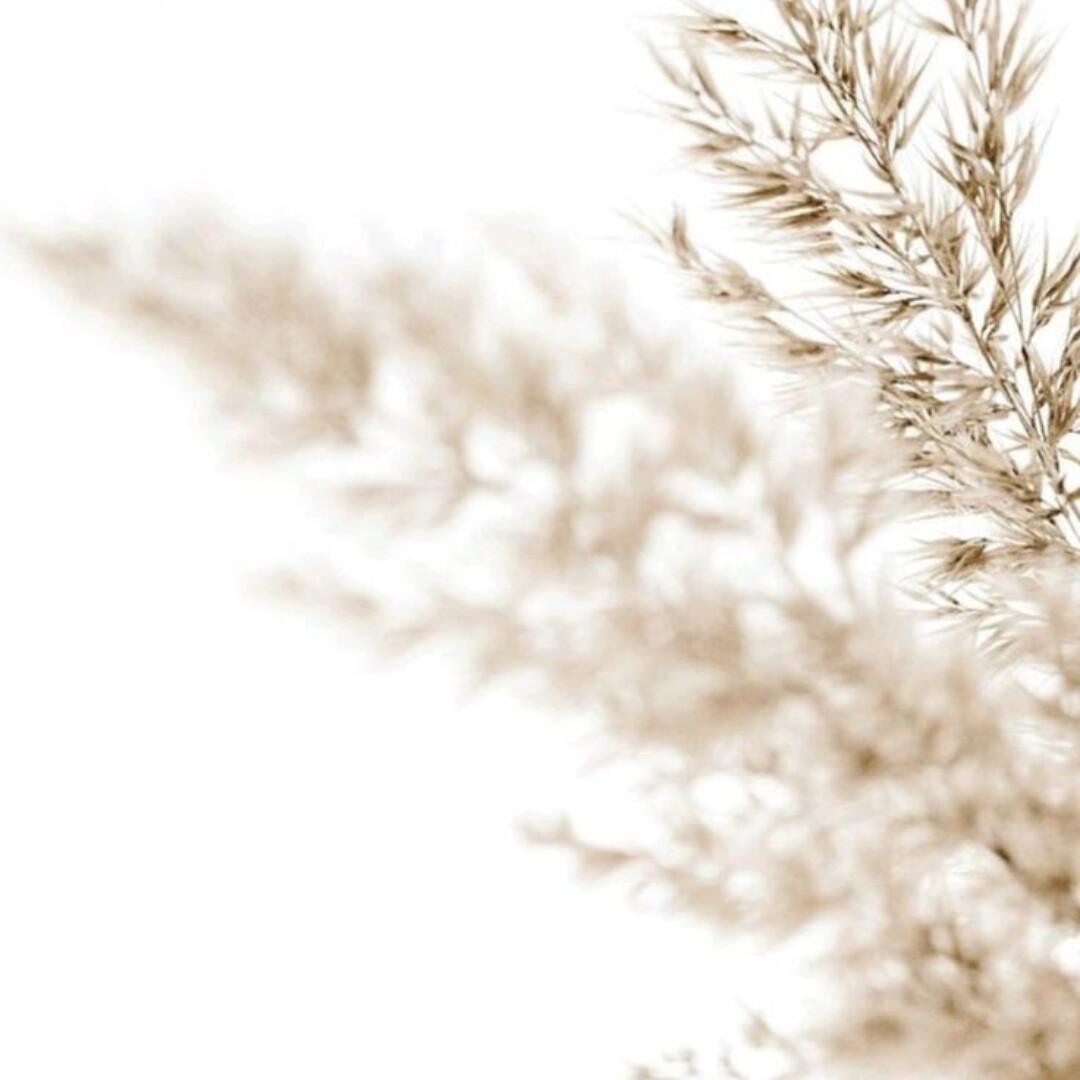 From Second-Guessing to Self-Trust From Second-Guessing to Self-Trust