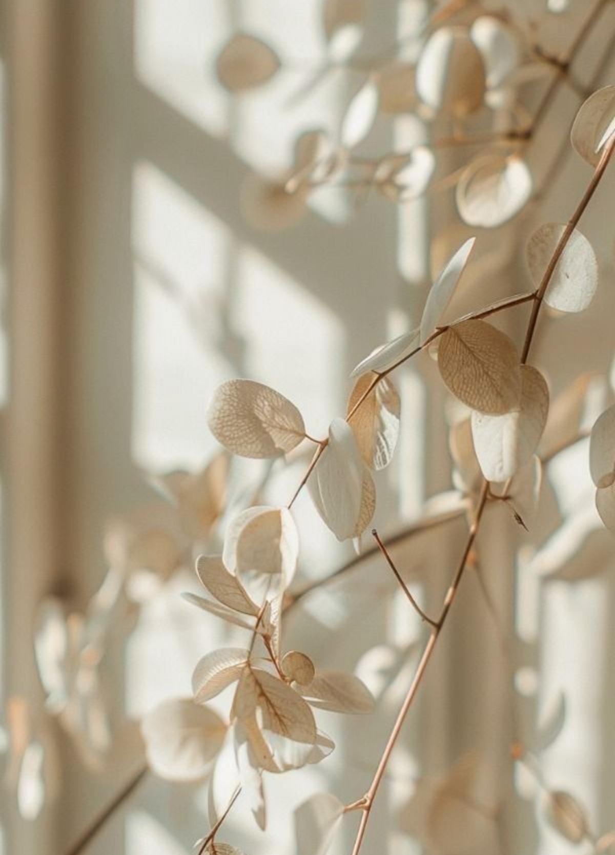 When the Path Feels Foggy